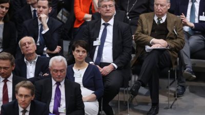 AfD-Vize Gauland: Petry will Partei „an die CDU andocken“