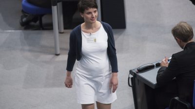 ZDF-Autor hofft auf Gewalt gegen schwangere Frauke Petry