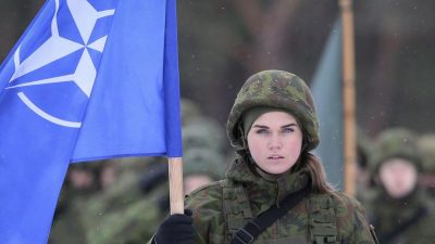 Estlands Präsidentin: Nato-Partner sollen Trump-Forderungen erfüllen
