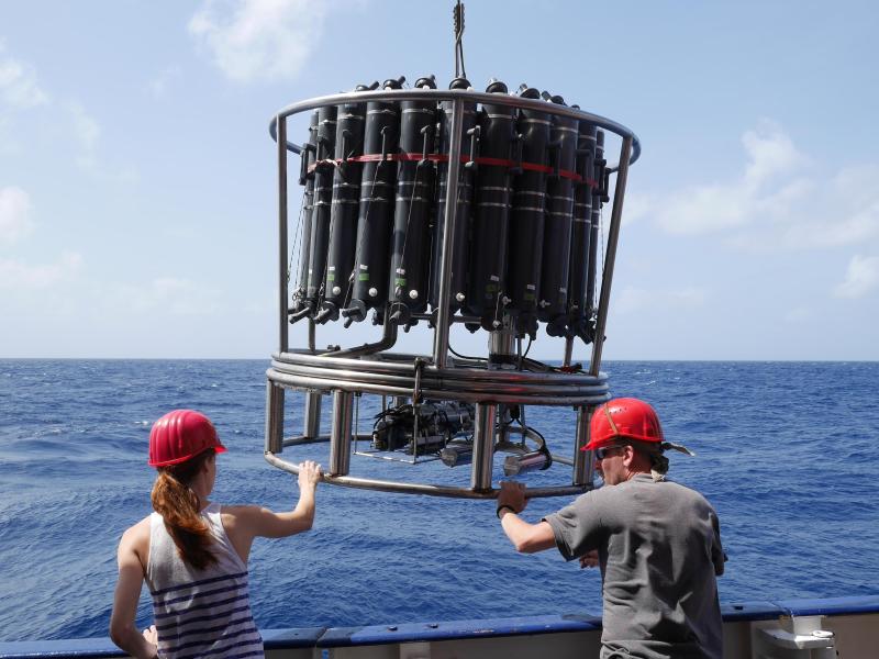 Kieler Forscher: Weniger Sauerstoff in allen Meeren