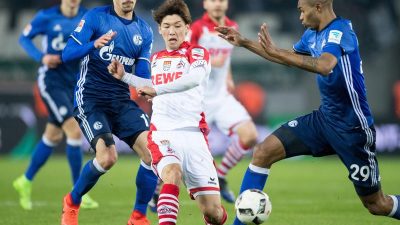 Köln nach 1:1 gegen Schalke weiter auf Europa-Kurs