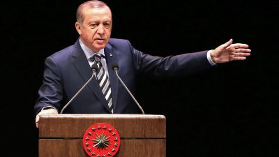 Erdogan wirft deutsch-türkischem Journalisten Spionage vor – Deutsche Behörden vor Gericht stellen