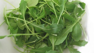 Warentest: Rucola-Salate teils deutlich mit Nitrat belastet