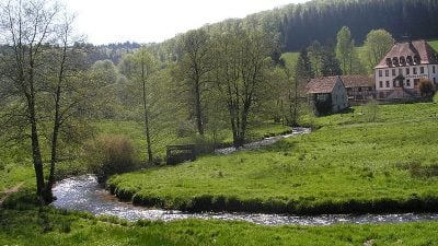 Spessart ist größtes Mischlaubwald-Gebiet Deutschlands: Absolute Umfrage-Mehrheit für Einrichtung eines Nationalparks