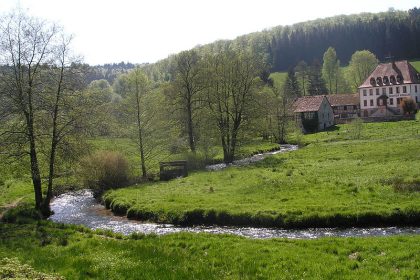 Spessart ist größtes Mischlaubwald-Gebiet Deutschlands: Absolute Umfrage-Mehrheit für Einrichtung eines Nationalparks