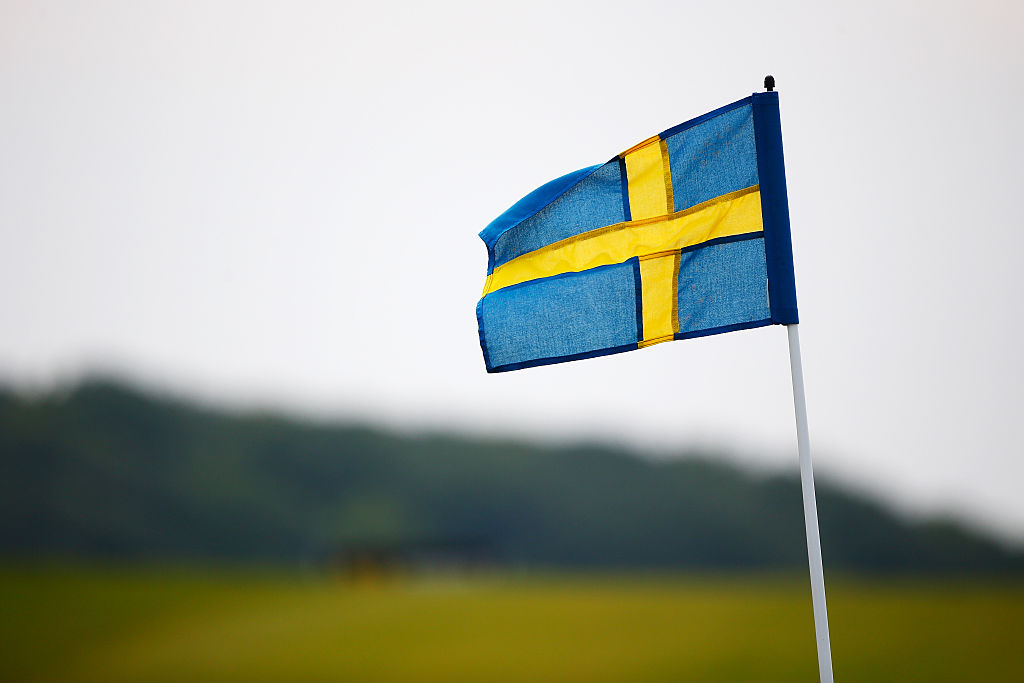 Auswärtiges Amt wirft AfD „Fake News“ vor – „Es gibt keine Reisewarnung für Schweden“