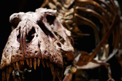 WWF warnt vor “größtem Artensterben seit Verschwinden der Dinosaurier”