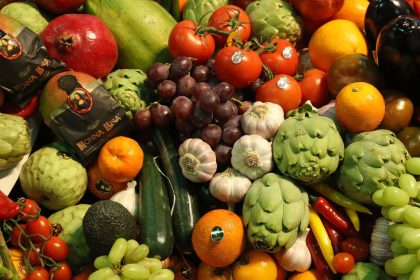 Deutsche suchen im Netz vor allem nach Ernährungsthemen