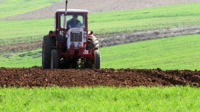 Forscher: Fischer und Bauern in Deutschland spüren Klimawandel