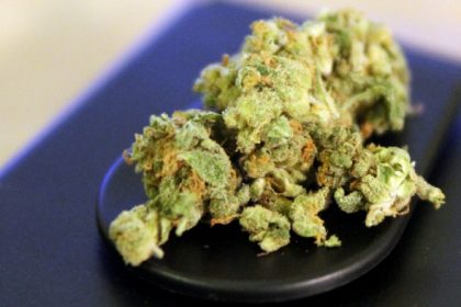 Moritz Bleibtreu plädiert für Cannabis-Liberalisierung
