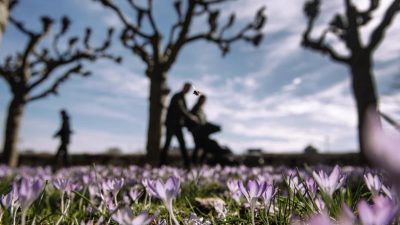 25 Grad und Sonne: Der April zeigt seine freundliche Seite