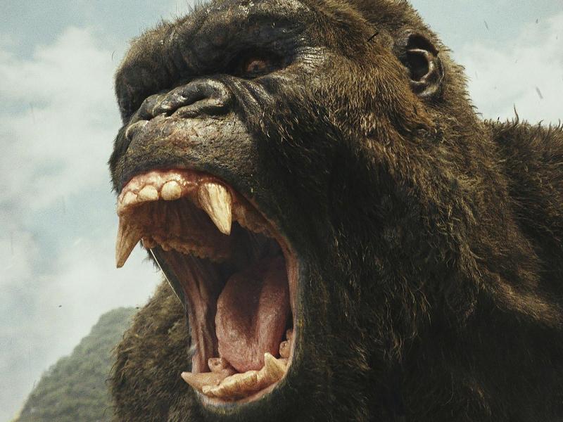 «Kong: Skull Island» führt die US-Kinocharts an