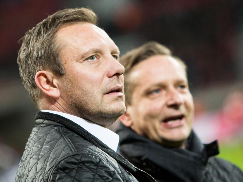 Hannover 96 beurlaubt Coach Stendel und holt Breitenreiter