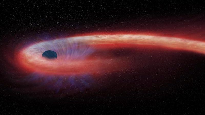 Forscher wollen zwischen 5. und 14. April das erste Bild von einem Schwarzem Loch machen
