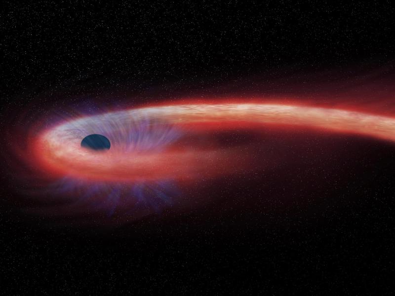 Forscher wollen zwischen 5. und 14. April das erste Bild von einem Schwarzem Loch machen
