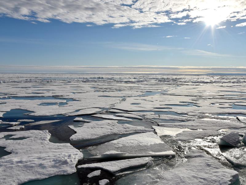 Jahr 2017 mit Hitzewellen in der Arktis gestartet