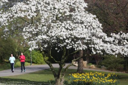 Der erste Sommertag: Am Wochenende wird es bis zu 25 Grad warm
