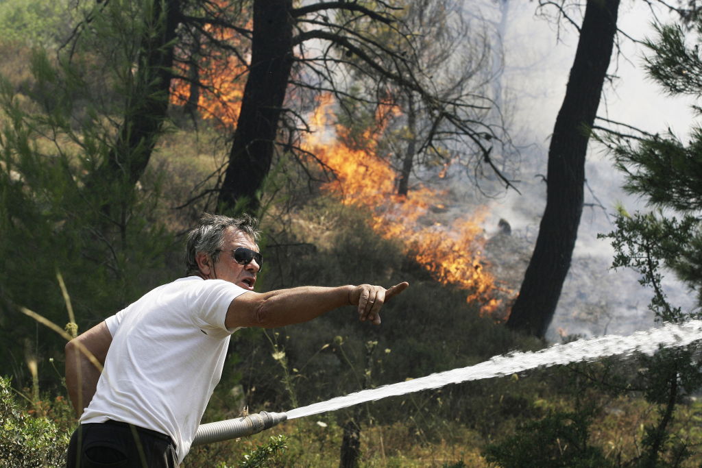 Zakynthos: Erster Waldbrand in Griechenland in diesem Jahr