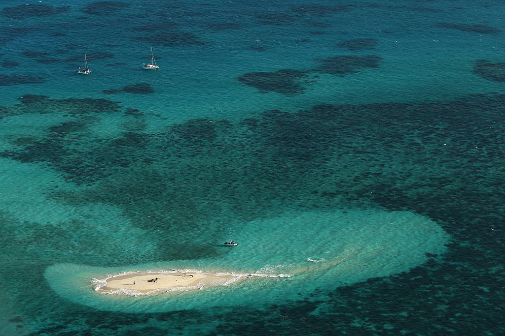 Forscher: Nach zwei Korallenbleichen „so gut wie keine Chance mehr“ für große Gebiete des Great Barrier Reef