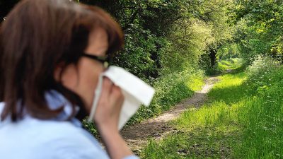 Pflanzenpollen fliegen auch in Höhen über 2000 Metern