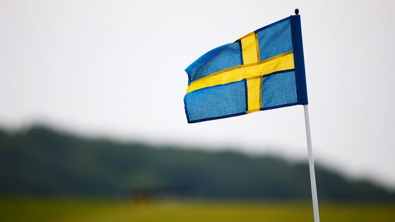 Raus mit Höcke – rein ins Vergnügen? Journalistin aus Schweden gibt AfD Tipps zur Bündnisfähigkeit