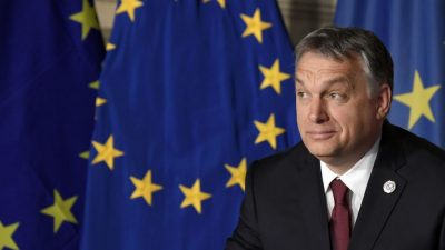 EU-Haushalt: Weniger Geld für Bauern und regionale Entwicklung, mehr Geld für Migrantenaufnahme – Orban droht mit Veto