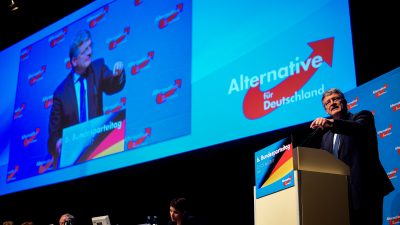 Braunschweig stellt Volkswagenhalle für AfD-Bundesparteitag Ende November zur Verfügung