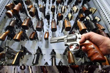 Zahl registrierter Schusswaffen in Deutschland gestiegen – Linke will „der Entwicklung gegensteuern“