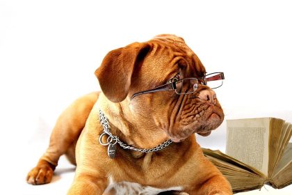 Fröhlich und motiviert im Büro: 14 Tricks, um aus dem Knick zu kommen!