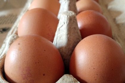 Erzeugercode auf Eiern schafft Klarheit – aber nicht bei eihaltigen Produkten