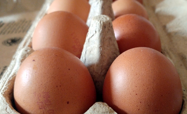 Erzeugercode auf Eiern schafft Klarheit – aber nicht bei eihaltigen Produkten