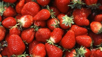 Lieferengpässe und steigende Preise für Erdbeeren erwartet