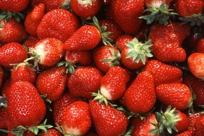Lieferengpässe und steigende Preise für Erdbeeren erwartet
