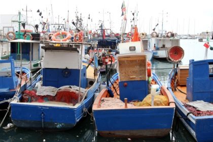 Brexit: McAllister warnt vor Jobabbau in deutscher Fischindustrie