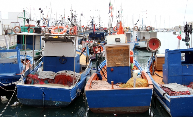 Brexit: McAllister warnt vor Jobabbau in deutscher Fischindustrie