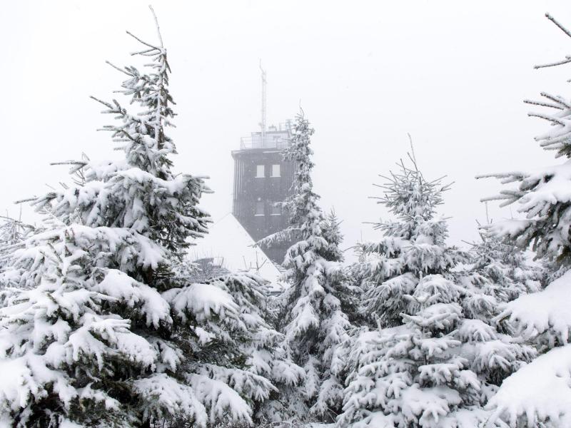 Woche beginnt schneereich: Weiße Weihnacht möglich