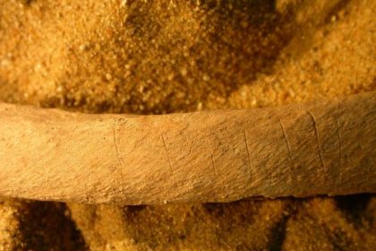 BITTE NICHT!!! Wir recherchieren /Knochenfunde und Zombie-Abwehr: Enthauptungen und Verstümmelungen nach dem Tod