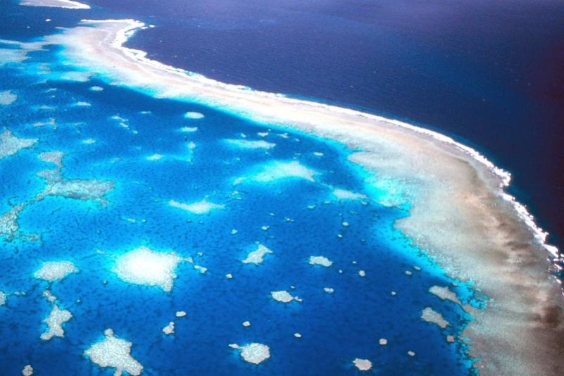 Verheerende Korallenbleiche am Great Barrier Reef schreckt Touristen ab