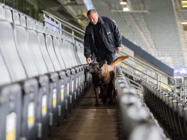 Ein Polizeibeamter durchsucht mit seinem Sprengstoffspürhund die Sitzreihen auf der Hauttribüne im Signal-Iduna-Park in Dortmund. Foto: Guido Kirchner/dpa