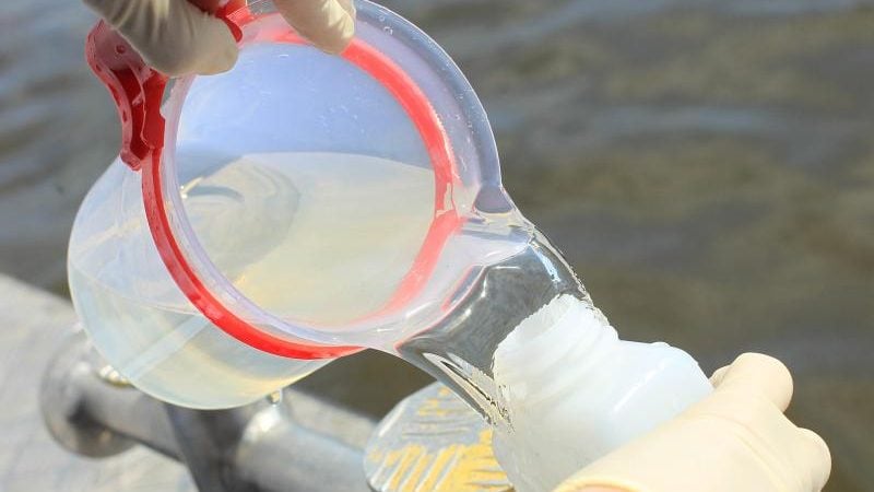 Umwelt-DNA-Untersuchung: DNA-Spuren im Wasser entlarven Fische