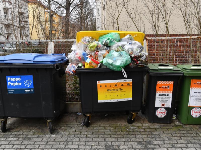 Grüne wollen bundesweit einheitliches Müllsystem – „Gelben Sack“ abschaffen