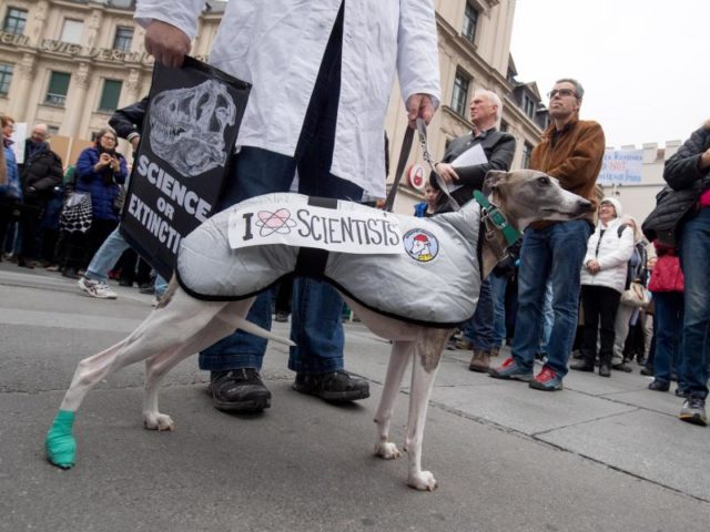 Ein Hund in München trägt den Schriftzug «I love Scientists». Foto: Tobias Hase/dpa
