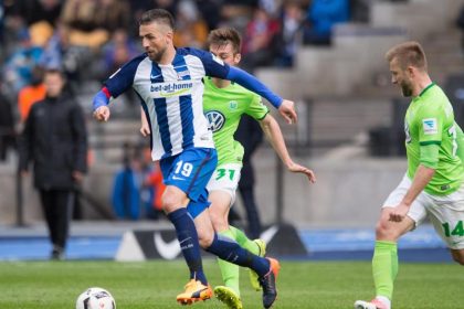 Ibisevic verschärft Wolfsburger Abstiegssorgen