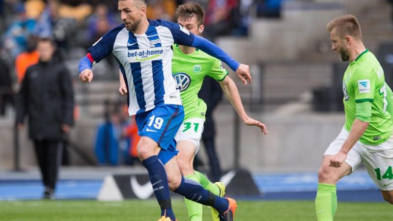 Ibisevic verschärft Wolfsburger Abstiegssorgen