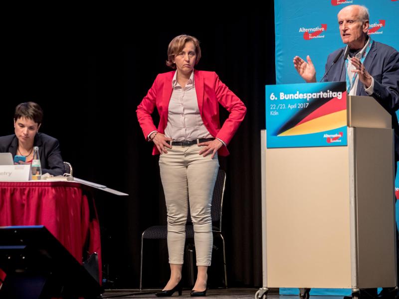 AfD kürt heute Spitzenteam für die Bundestagswahl