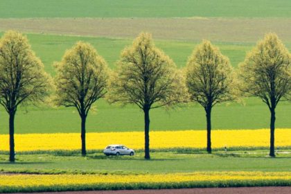 Rote Liste sieht Wiesen und Weiden in Deutschland in besonderer Gefahr