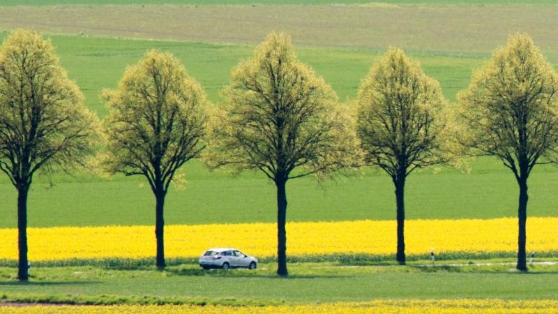 Rote Liste sieht Wiesen und Weiden in Deutschland in besonderer Gefahr