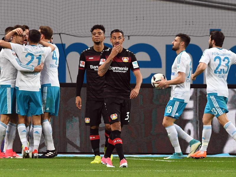 Bayer taumelt Richtung Tabellenkeller – 1:4 gegen Schalke