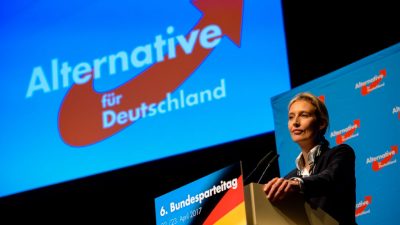 Weidel muss Rechtsstreit-Niederlage hinnehmen – AfD-Politikerin als „Nazi-Schlampe“ zu beschimpfen gilt als „Satire“