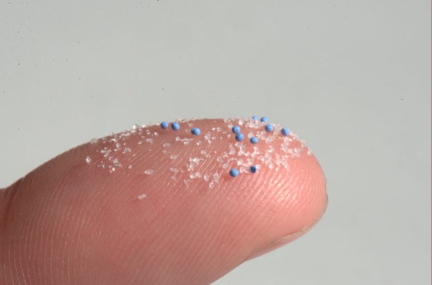 Mikroplastik gelangt über Mücken in Vögel und Fledermäuse